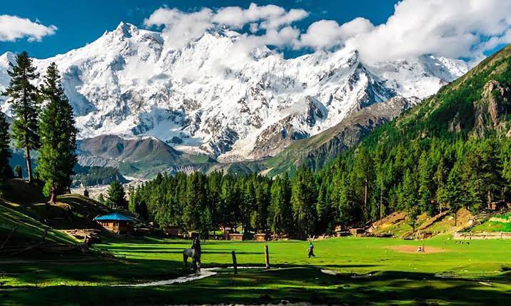 Fairy Meadows & Nanga Parbat Base Camp Trek